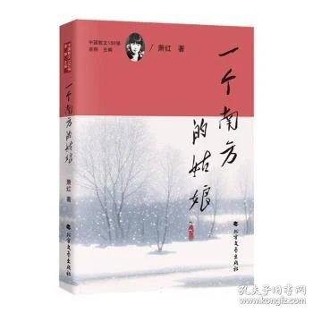 一个南方的姑娘