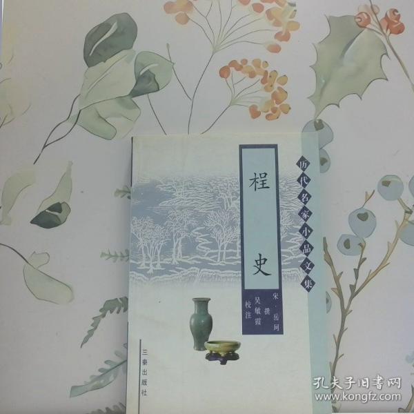 桯史
