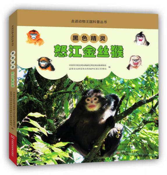 黑色精靈：怒江金絲猴