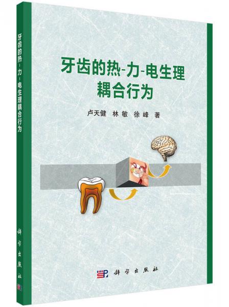 牙齒的熱-力-電生理耦合行為