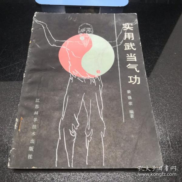 实用武当气功