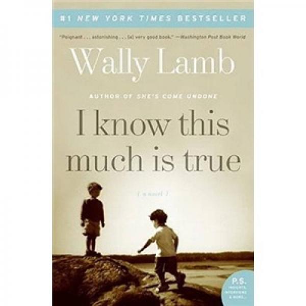 I Know This Much is True: A Novel (P.S.) (ReMAINDER Edition)
