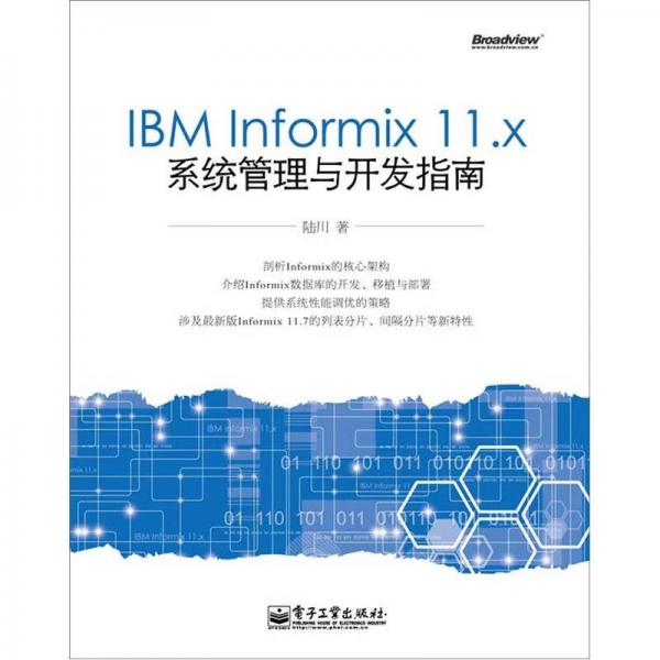 IBM Informix 11.x系统管理与开发指南