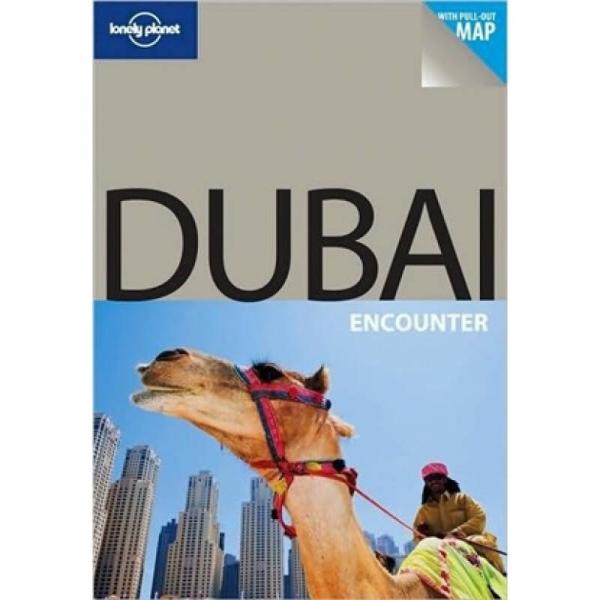 Lonely Planet: Dubai孤独星球旅行指南：迪拜
