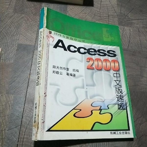 Access 2000中文版速成