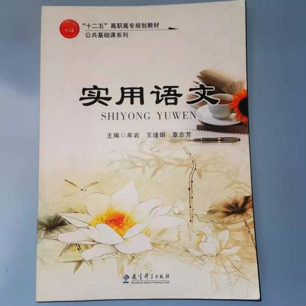 正版圖書(shū) 實(shí)用語(yǔ)文 9787504199300 教育科學(xué)出版社