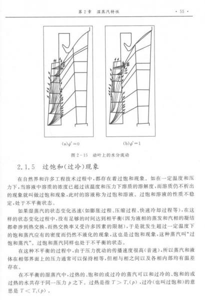 膨胀湿蒸汽两相高速流动/西安交通大学研究生创新教育系列教材