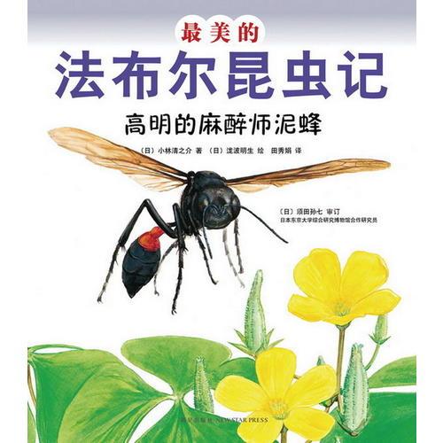 最美的法布尔昆虫记：高明的麻醉师泥蜂