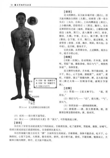 国医大师临床研究：石学敏针灸全集