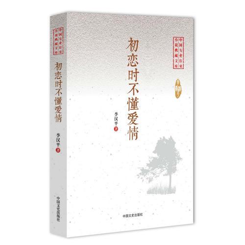 初恋时不懂爱情（中国专业作家小说典藏文库）