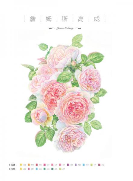 玫瑰绘 用色铅笔为爱表白