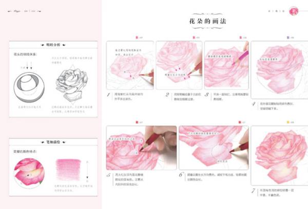 玫瑰绘 用色铅笔为爱表白