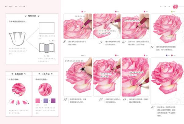 玫瑰绘 用色铅笔为爱表白