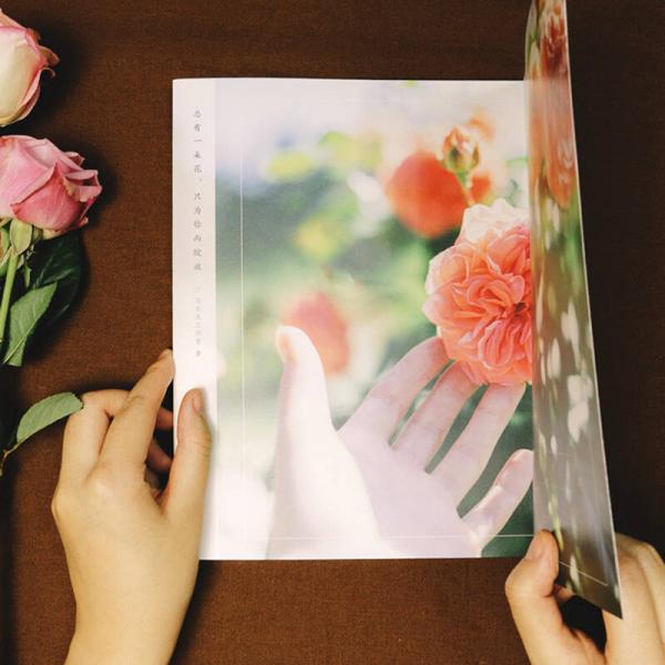 玫瑰绘 用色铅笔为爱表白