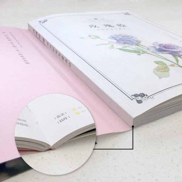 玫瑰绘 用色铅笔为爱表白