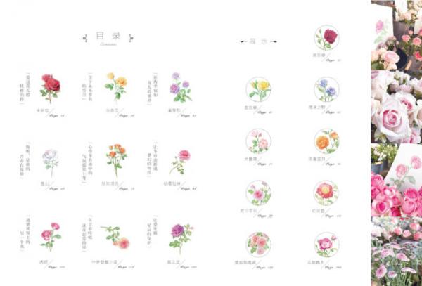 玫瑰绘 用色铅笔为爱表白