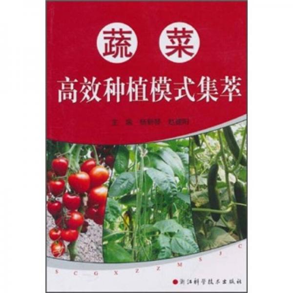 蔬菜高效種植模式集萃