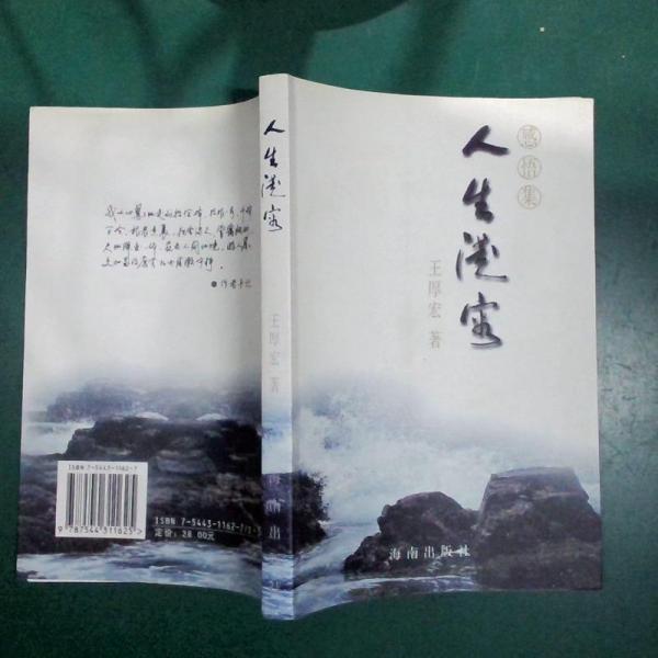 人生從容:感悟集