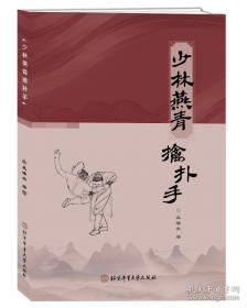 少林铁腿绝技