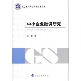 中国民营企业绩效研究