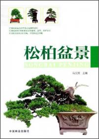 杂木类盆景培育造型与养护