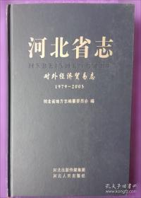对外汉语教学课堂教案设计/对外汉语教师资格考试参考用书