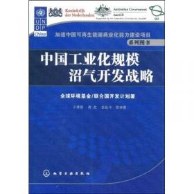 中国生物质能产业发展报告（2014）