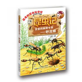 昆虫记·最恶心的食粪虫：嗡蜣螂、粪金龟