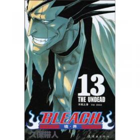 BLEACH 境·界37：美丽是如此孤寂