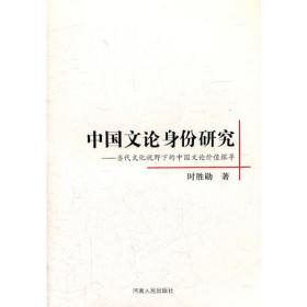 姜夔《续书谱》美学研究 书法理论 时胜勋著 新华正版