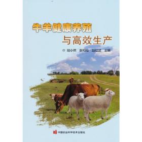牛羊生产(黄修奇)