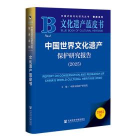 文化震撼之旅：巴西