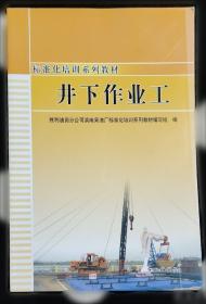 胜利油田勘探开发研究院六十年理论技术文集 勘探篇