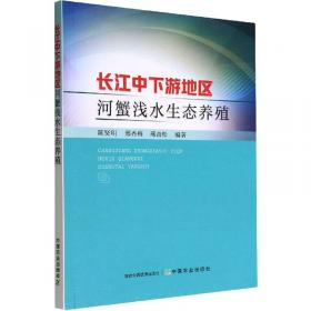 长江文艺出版社 现当代长篇小说典藏插图本 子夜/现当代长篇小说典藏插图本