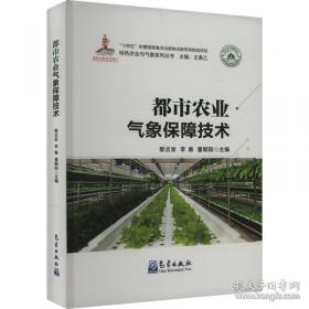 都市文化与中国现代都市小说