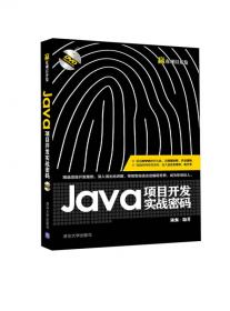 精通Java开发技术：由浅入深领会高效开发之道