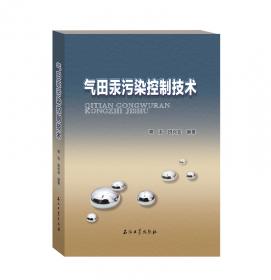 气田提高采收率技术丛书：低渗透气藏提高采收率技术与实例分析