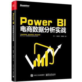 Power BI电商数据分析与商业智能（第2版）