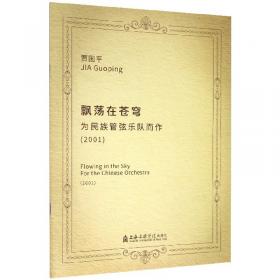 丝绸之路的回响·中国作曲家管弦乐新作品：风越苍茫-为琵琶与管弦乐队而作
