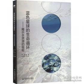 蓝色巨人:IBM公司的浮沉