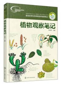 中国典籍日本注释丛书·孝经卷(全二册）
