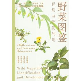 野菜识别与利用指南