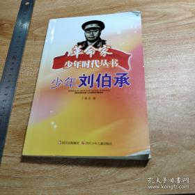 少年杨闇公