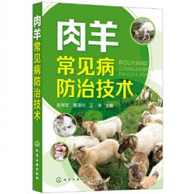 肉羊高效饲养与疫病监控——基层畜牧兽医干部学习指导丛书