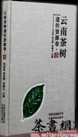 云南诸葛亮南征传说研究