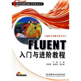 FLUENT：流体工程仿真计算实例与应用