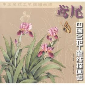 鸢尾——中国名花丛书