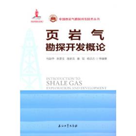 中国天然气地下储气库