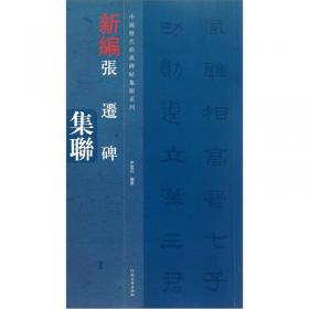 中国历代经典碑帖集联系列：新编西狭颂集联