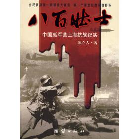 国殇（第5部）：中国远征军缅甸、滇西抗战秘录